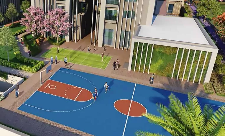 Basket Ball Court